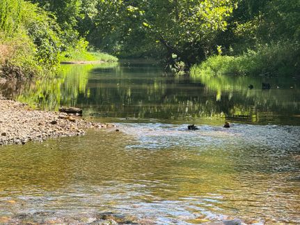 Land for sale in Newton County, Missouri