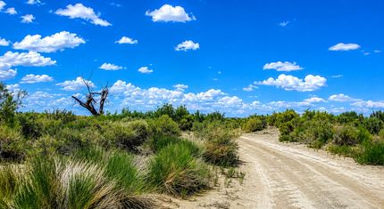Farm and Ranch for sale in Churchill County, Nevada
