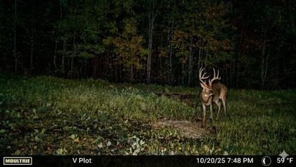 Land for sale in Humphreys County, Tennessee