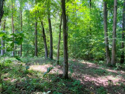 Land for sale in Stewart County, Tennessee