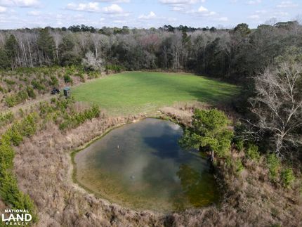 Land for sale in Greene County, Mississippi