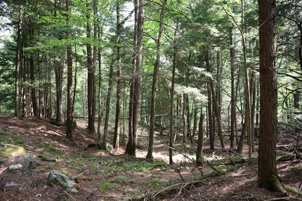 Farm and Ranch for sale in Warren County, New York