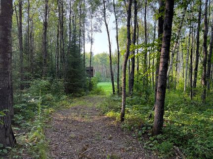Farm and Ranch for sale in Crow Wing County, Minnesota