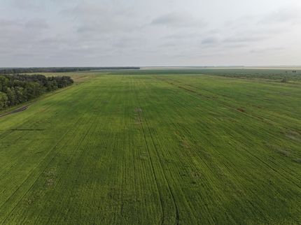 Land for sale in Marshall County, Minnesota