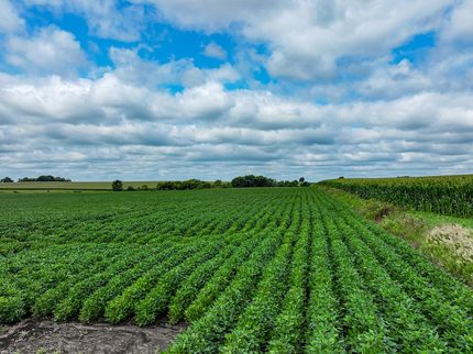 Farm and Ranch for sale in Chickasaw County, Iowa