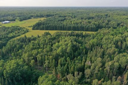 Land for sale in Saint Louis County, Minnesota