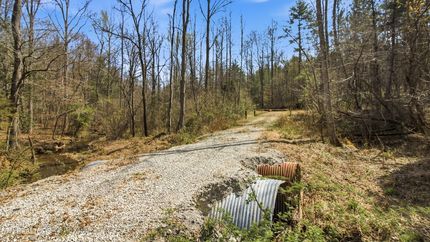 Land for sale in Scott County, Tennessee