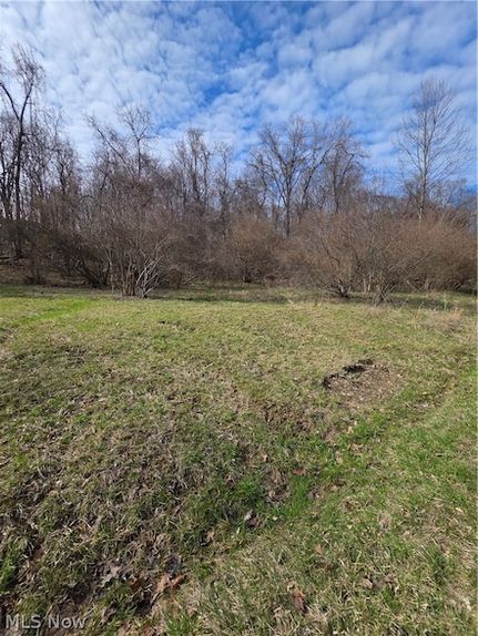 Timberland Property for sale in Noble County, Ohio