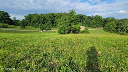 Undeveloped Land for sale in Grainger County, Tennessee