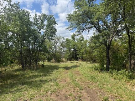 Undeveloped Land for sale in Burnet County, Texas