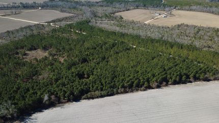 Land for sale in Bacon County, Georgia