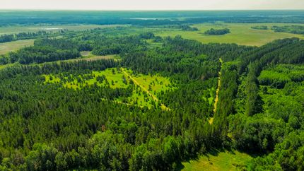 Undeveloped Land for sale in Wadena County, Minnesota