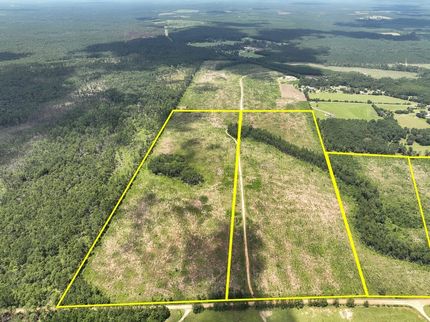 Land for sale in Polk County, Texas