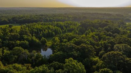 Timberland Property for sale in Van Zandt County, Texas