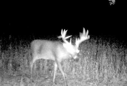 Recreational Property for sale in Macoupin County, Illinois