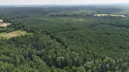 Land for sale in Lincoln County, Mississippi