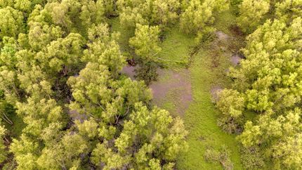 Farm and Ranch for sale in Quitman County, Mississippi