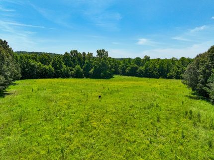 Land for sale in Livingston County, Kentucky