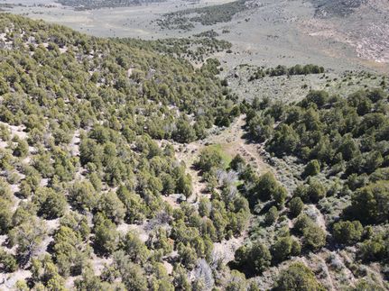 Land for sale in Moffat County, Colorado