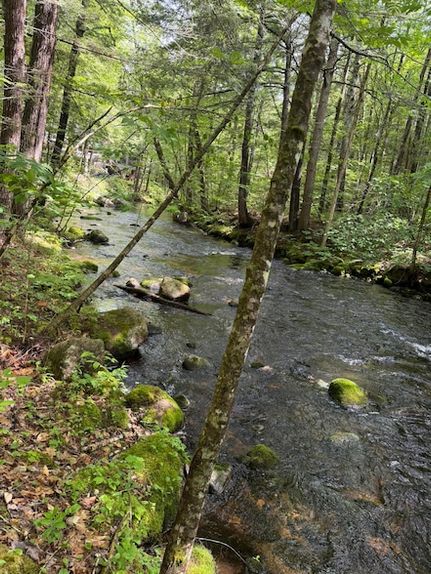 Farm and Ranch for sale in Cumberland County, Maine