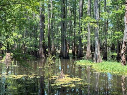 Land for sale in Lenoir County, North Carolina