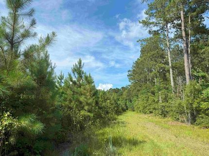 Farm and Ranch for sale in Southampton County, Virginia