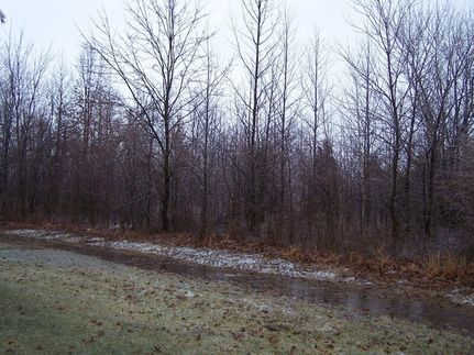 Timberland Property for sale in Williamson County, Illinois