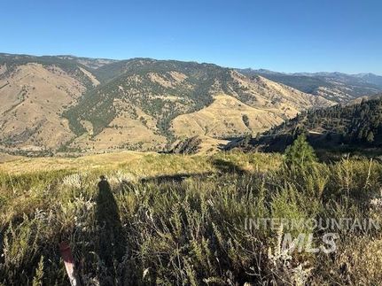 Undeveloped Land for sale in Idaho County, Idaho