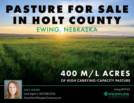 Undeveloped Land for sale in Holt County, Nebraska