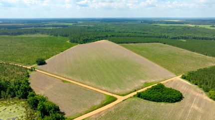 Farm and Ranch for sale in Toombs County, Georgia