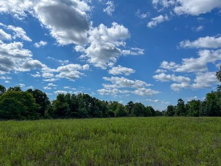Undeveloped Land for sale in Cherokee County, Texas