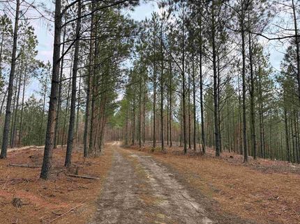 Undeveloped Land for sale in Richmond County, Virginia