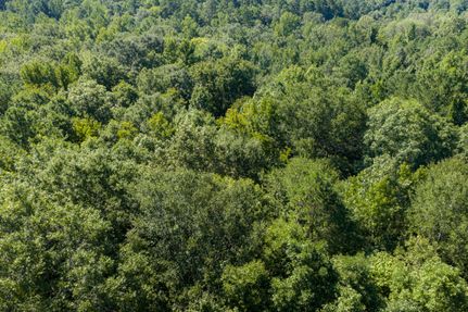 Recreational Property for sale in Gregg County, Texas