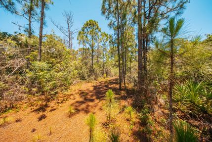 Land for sale in Highlands County, Florida