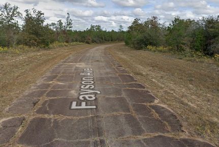Timberland Property for sale in Washington County, Florida
