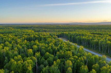 Land for sale in Matanuska-Susitna Borough, Alaska
