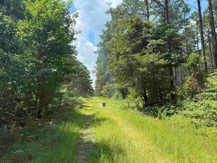 Farm and Ranch for sale in Suffolk City County, Virginia