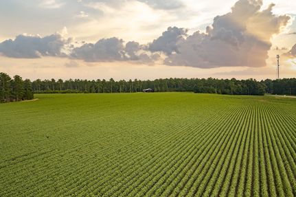 Land for sale in Crenshaw County, Alabama
