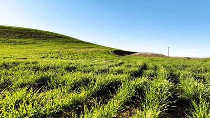 Land for sale in Umatilla County, Oregon