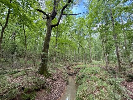 Land for sale in Taylor County, Georgia