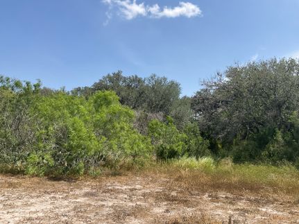 Farm and Ranch for sale in Jim Wells County, Texas