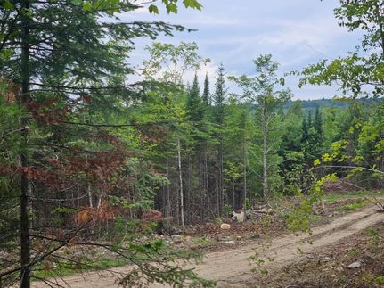Farm and Ranch for sale in Somerset County, Maine