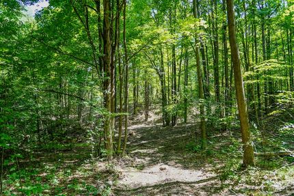 Land for sale in Ogemaw County, Michigan