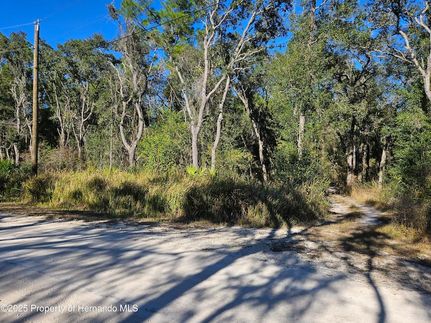 Timberland Property for sale in Hernando County, Florida