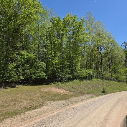 Farm and Ranch for sale in Osceola County, Michigan