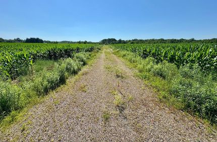 Timberland Property for sale in Mille Lacs County, Minnesota