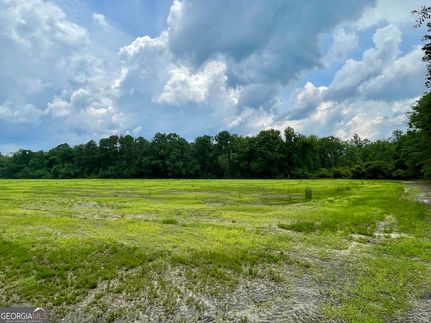 Timberland Property for sale in Bulloch County, Georgia
