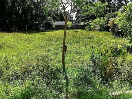 Farm and Ranch for sale in Sarasota County, Florida