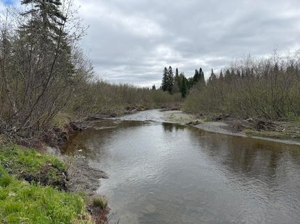 Land for sale in Aroostook County, Maine