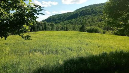 Undeveloped Land for sale in Orange County, Vermont